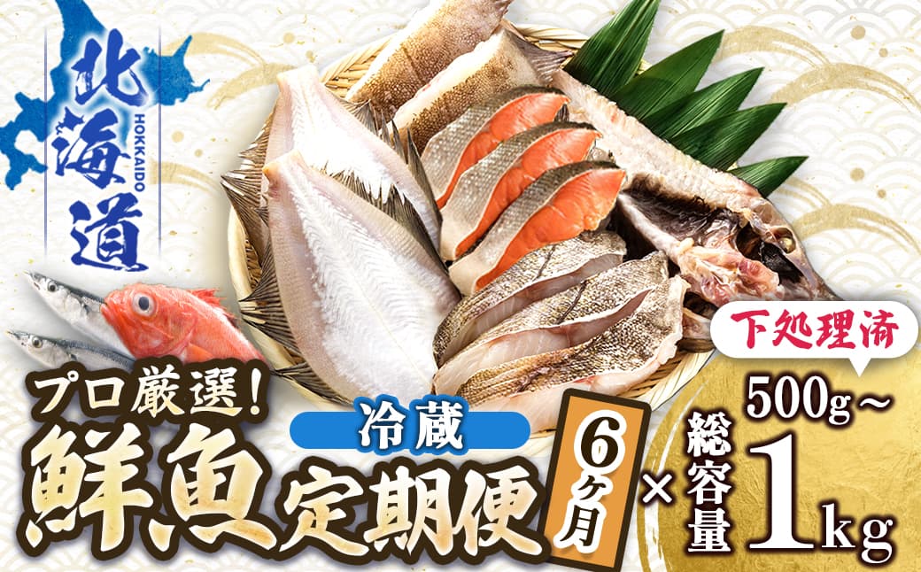 【定期便 6ケ月連続】 お魚の目利きのプロにお任せ!北海道産(国産) 天然 鮮魚 約500g~1kg(釧路の鮮魚セット) 産地直送 冷蔵 冷蔵便 刺身 セット 鮮魚セット 鮮魚ボックス 北海道 釧路町 釧路超 特産品