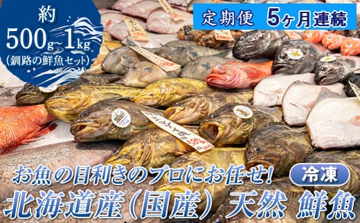 【定期便 5ケ月連続】 お魚の目利きのプロにお任せ!北海道産(国産) 天然 鮮魚 約500g~1kg(釧路の鮮魚セット) 鮮魚 刺身 セット 産地直送 定期便 海鮮 冷凍 冷凍便 北海道 釧路町 釧路超 特産品