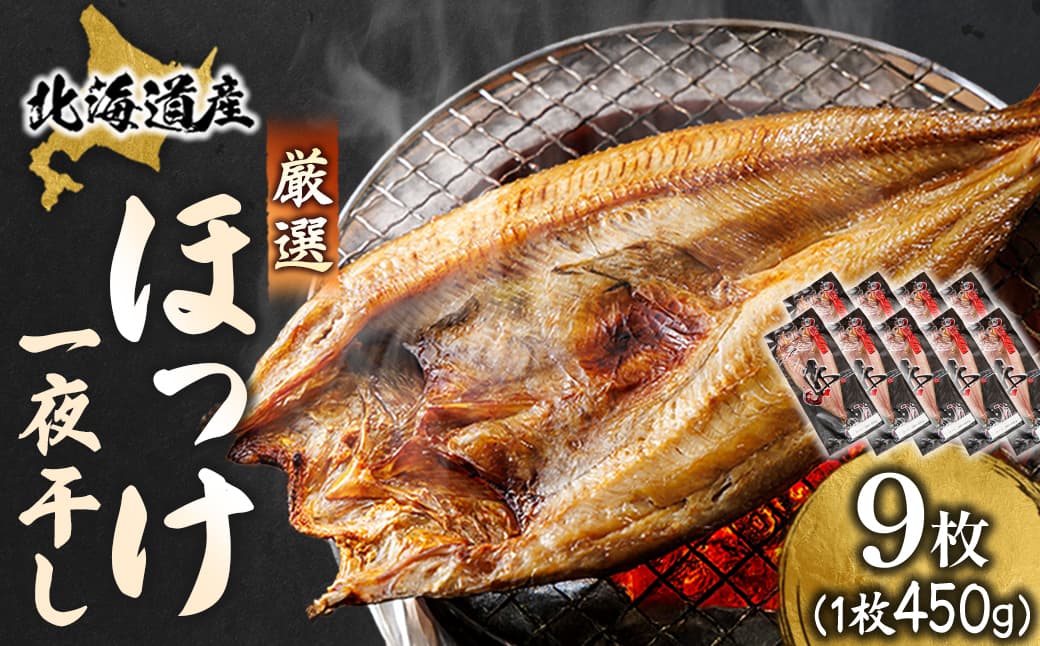 北海道産 ほっけ一夜干し(450~499g)×9枚 【配送日時指定可能】 釧路町の匠が贈る 北の至宝 ホッケ 干物 焼魚 焼き魚 白身魚 セット ひもの 魚干物 一人暮らし セット おかず 冷凍 スピード発送 すぐ届く 魚介類 海鮮 絶品 人気 ヒロセ すぐ発送 北海道 釧路町 釧路超 特産品