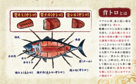 北海道産 天然 本マグロ 背トロ 冷凍 200g × 1柵 (訳あり 筋あり)<出荷時期:2026年8月頃~順次出荷> 国産 鮪 ホンマグロ クロマグロ ネギトロ マグロたたき にもできます マグロステーキ マグロ中トロ 冷凍 魚介類 海鮮 絶品 高級 配送月指定 配送月を選べる 配送時期 発送月が選べる 発送月 人気 ヒロセ 北海道 釧路町 釧路超 特産品