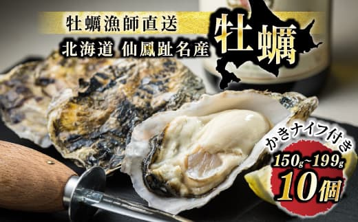 北海道 仙鳳趾産 牡蠣 150g~199g×10コ+かきナイフ付きかき漁師直送 K1-6<出荷時期:2025年10月以降 順次出荷><センポウシ : 釧路町の東 厚岸湾の西 カキの名産地> 生牡蠣 刺身 セット 産地直送 北海道 釧路町 釧路超 特産品