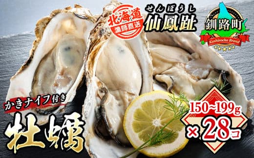 北海道 仙鳳趾名産 牡蠣 150g~199g×28コ+かきナイフ付き かき漁師直送K4-4 【センポウシ : 釧路町の東 厚岸湾の西 カキの名産地】 仙鳳趾 せんぽうし 牡蠣 生食用 殻付き 生牡蠣 絶品 産地直送 殻付き牡蠣 北海道 釧路町 釧路超 特産品