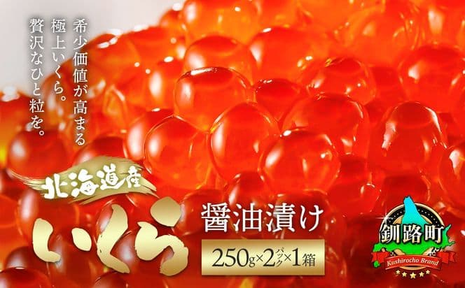 いくら醤油漬け 1kg(250g ×2パック ×2箱) | 国産 いくら いくら醤油漬 イクラ ikura 天然 鮭 サーモン 鮭卵 鮭いくら 冷凍 笹谷商店 直営 釧之助本店 北海道 釧路町 釧路超 特産品