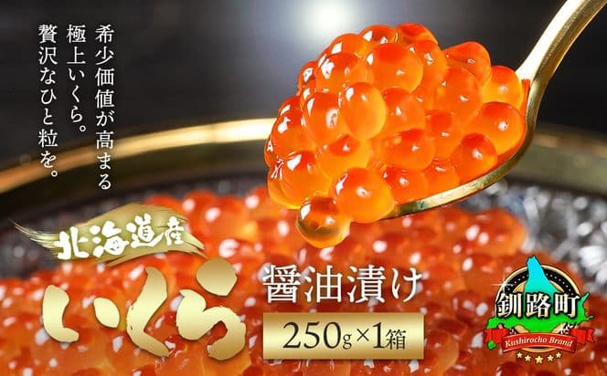 いくら醤油漬け 250g ×10箱 合計2.5kg| 国産 いくら いくら醤油漬 しょう油 しょうゆ HACCP イクラ ikura 小分け 天然 鮭 鮭卵 鮭いくら 魚卵 魚介類 冷凍 笹谷商店 直営 釧之助本店 北海道 釧路町 釧路超 特産品
