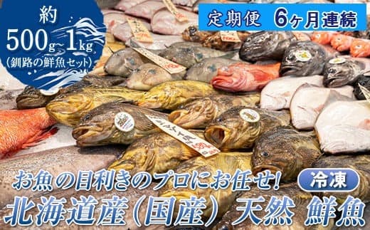 【定期便 6ケ月連続】 お魚の目利きのプロにお任せ!北海道産(国産) 天然 鮮魚 約500g~1kg(釧路の鮮魚セット) 産地直送 冷凍 冷凍便 刺身 セット 鮮魚セット 鮮魚ボックス 北海道 釧路町 釧路超 特産品