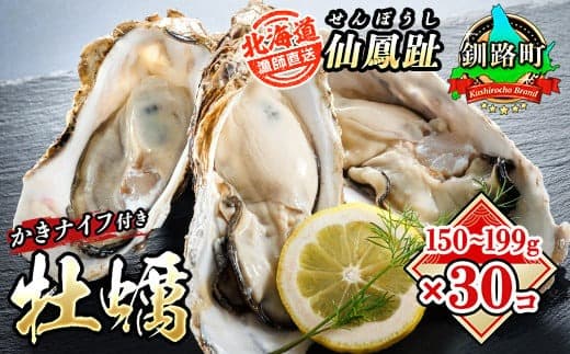 北海道 仙鳳趾名産 牡蠣 150g~199g×30コ+かきナイフ付き かき漁師直送K4-4<一部出荷期間:2026年7月1日~11月末><センポウシ : 釧路町の東 厚岸湾の西 カキの名産地> | せんぽうし 牡蠣 生食用 殻付き 生牡蠣 絶品 産地直送 北海道 釧路町 釧路超 特産品