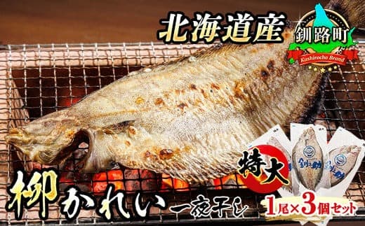 北海道産 特大 柳かれい 一夜干し 1尾×3個セット | おつまみ 焼魚 焼き魚 定食 魚 干物 セット ひもの 冷凍 人気の 訳あり! 北海道 釧路町 釧路超 特産品