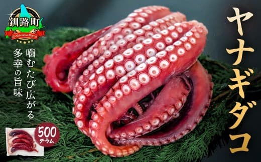 ヤナギダコ500g【産地直送】プリプリ食感!釧路町昆布森産 ヤナギダコ|噛むたびに広がる多幸の旨味 お刺身 鍋 煮物に最適 栄養満点 贈答用 にも最適 漁師直送 鮮度抜群 蛸 タコ たこ 足 刺身 たこやき たこ唐揚げ 冷凍 北海道 釧路町 釧路超 特産品