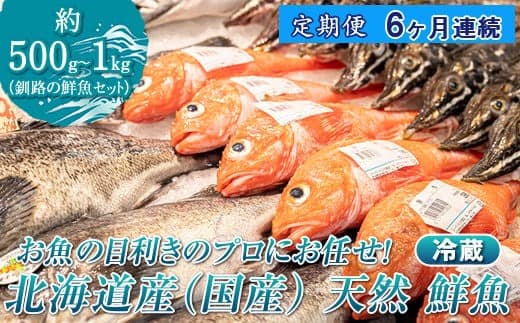 【定期便 6ケ月連続】 お魚の目利きのプロにお任せ!北海道産(国産) 天然 鮮魚 約500g~1kg(釧路の鮮魚セット) 産地直送 冷蔵 冷蔵便 刺身 セット 鮮魚セット 鮮魚ボックス 北海道 釧路町 釧路超 特産品