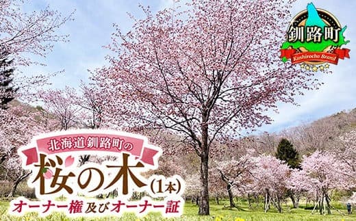 北海道釧路町の桜の木(1本)のオーナー権及びオーナー証<植樹開催&プレートお届け時期:2026年5月ごろ> | 北海道 釧路町 別保公園 桜の木 桜の苗 桜の苗木 桜 さくら 自然 保護 植樹体験 体験型 体験 体験型 北海道 先行予約 結婚 誕生 就職 退職 記念 想い出 北海道 釧路町 釧路超 特産品