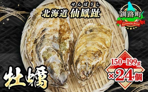 \先行予約/北海道 仙鳳趾名産 牡蠣 150g~199g×24コ+かきナイフ付き かき漁師直送 K3-4<出荷時期:2026年7月1日~順次出荷><センポウシ : 釧路町の東 厚岸湾の西 カキの名産地> | せんぽうし 牡蠣 生食用 殻付き 生牡蠣 刺身 セット 産地直送 北海道 釧路町 釧路超 特産品