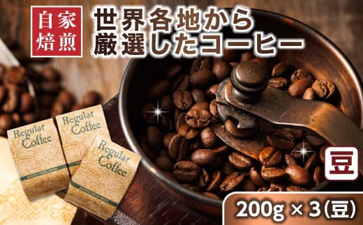 コーヒー セット 200g×3個 豆 | ベンデドール 自家焙煎 コーヒー豆 珈琲豆 珈琲 豆 店主おまかせ プレミアム 北海道 釧路町 釧路超 特産品
