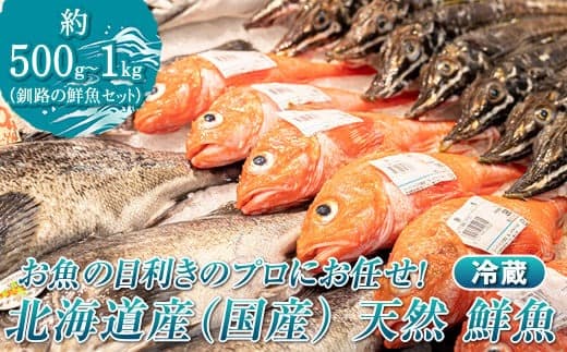 お魚の目利きのプロにお任せ!北海道産(国産) 天然 鮮魚 約500g~1kg(釧路の鮮魚セット)産地直送 冷蔵 冷蔵便 刺身 セット 鮮魚セット 鮮魚ボックス 北海道 釧路町 釧路超 特産品