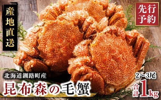 【先行予約】 厳冬が旬 北海道昆布森の 毛蟹 1kg 2~3尾 <出荷時期 2026年3月から順次出荷予定> ボイル済み 下茹で 冷凍|入手困難 北海道産 毛ガニ ケガニ けがに カニ味噌 希少 魚介類 高級 セット 旬 釜茹で 先行 予約 北海道 釧路町 釧路超 特産品