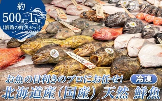 お魚の目利きのプロにお任せ!北海道産(国産) 天然 鮮魚 約500g~1kg(釧路の鮮魚セット)産地直送 冷凍 冷凍便 刺身 セット 鮮魚セット 鮮魚ボックス 北海道 釧路町 釧路超 特産品