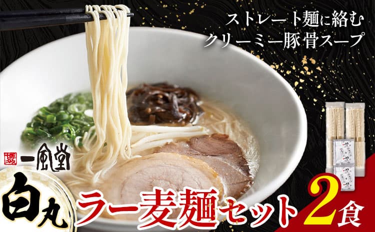 ラーメン 一風堂 白丸 ラー麦麺 2食 地域商社ふるさぽ《90日以内に出荷予定(土日祝除く)》福岡県 鞍手郡 小竹町 ラーメン とんこつ 豚骨スープ 豚骨ラーメン ラー麦 麺 ---sc_fsipdr_90d_26_6500_2s---