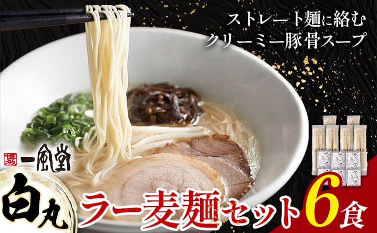 ラーメン 一風堂 白丸 ラー麦麺 6食 地域商社ふるさぽ《90日以内に出荷予定(土日祝除く)》福岡県 鞍手郡 小竹町 ラーメン とんこつ 豚骨スープ 豚骨ラーメン ラー麦 麺 ---sc_fsipdr_90d_26_10500_6s---