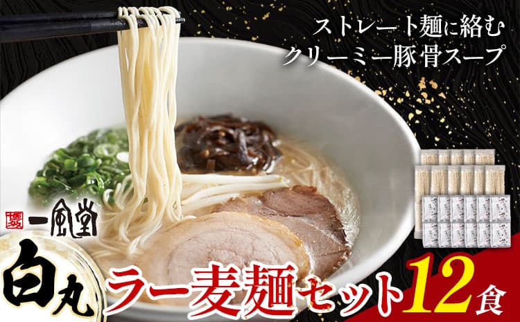 ラーメン 一風堂 白丸 ラー麦麺 12食 地域商社ふるさぽ《90日以内に出荷予定(土日祝除く)》福岡県 鞍手郡 小竹町 ラーメン とんこつ 豚骨スープ 豚骨ラーメン ラー麦 麺 ---sc_fsipdr_90d_26_15500_12s---