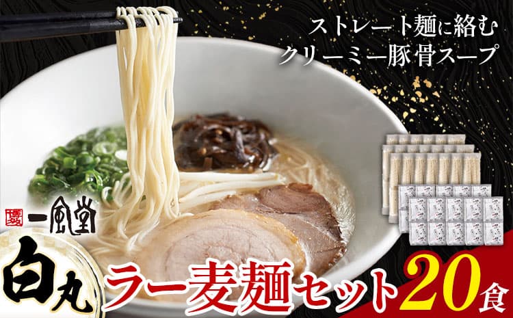 ラーメン 一風堂 白丸 ラー麦麺 20食 地域商社ふるさぽ《90日以内に出荷予定(土日祝除く)》福岡県 鞍手郡 小竹町 ラーメン とんこつ 豚骨スープ 豚骨ラーメン ラー麦 麺 ---sc_fsipdr_90d_26_20000_20s---