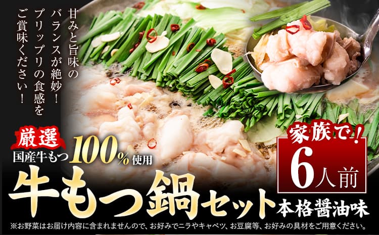 もつ鍋 福岡 もつ鍋 鍋 国産牛小腸100%使用 牛もつ鍋セット 6人前 本格醤油味《30日以内に出荷予定(土日祝除く)》牛もつ ちゃんぽん麺 唐辛子 ニンニク セット 博多 国産 ヤマタカ醤油 牛 冷凍食品 冷凍 鍋 鍋セット 小竹町---ktk_ftmtnbk_30d_25_9000_6i---