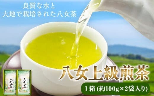 八女上級煎茶 1箱 約100g×2袋入り 福岡県 鞍手郡 小竹町《30日以内に出荷予定(土日祝除く)》 送料無料---sc_yamesencha_30d_22_12500_2p--- (管理コード:sc_yamesencha_30d_22_12500_2p)