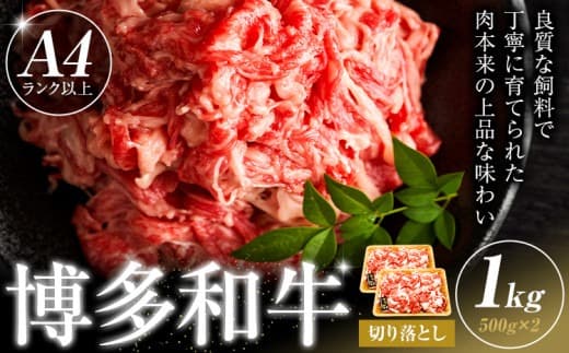 博多和牛 切り落とし 1kg 株式会社木村食品《30日以内に出荷予定(土日祝除く)》小竹町 博多和牛 牛肉 牛丼 肉じゃが 肩ロース 肩バラ モモ 赤身---sc_fkmrkro_30d_r7_16000_1kg--- (管理コード:sc_fkmrkro_30d_r7_16000_1kg)