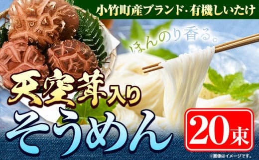そうめん 椎茸 天空茸 入り そうめん 20束《30日以内に出荷予定(土日祝除く)》福岡県 鞍手郡 小竹町 素麺 椎茸 しいたけ 夏 麺 めんの山一---sc_tnksmn_30d_23_17000_20i--- (管理コード:sc_tnksmn_30d_23_17000_20i)