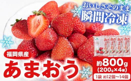 冷凍あまおう 約800g(約200g×4袋) 《1-5営業日以内に出荷予定(土日祝除く)》いちご 福岡県 鞍手郡 小竹町 送料無料---sc_famaou_s_r7_11000_800g--- (管理コード:sc_famaou_s_r7_11000_800g)