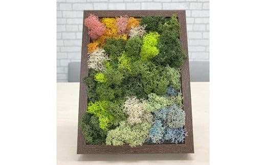 スカンディアモス アートワーク 枠カラー:ブラウン (19.6cm×14.8cm×H4~5cm) インテリア