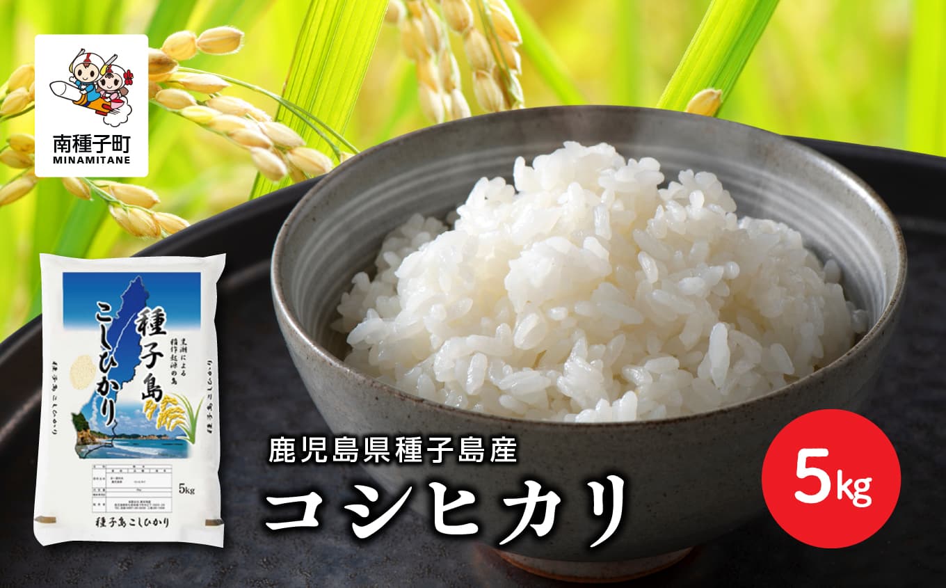 【先行予約】《令和8年産米 新米》【8月上旬より順次発送予定】 種子島産コシヒカリ5kg 【新栄物産】