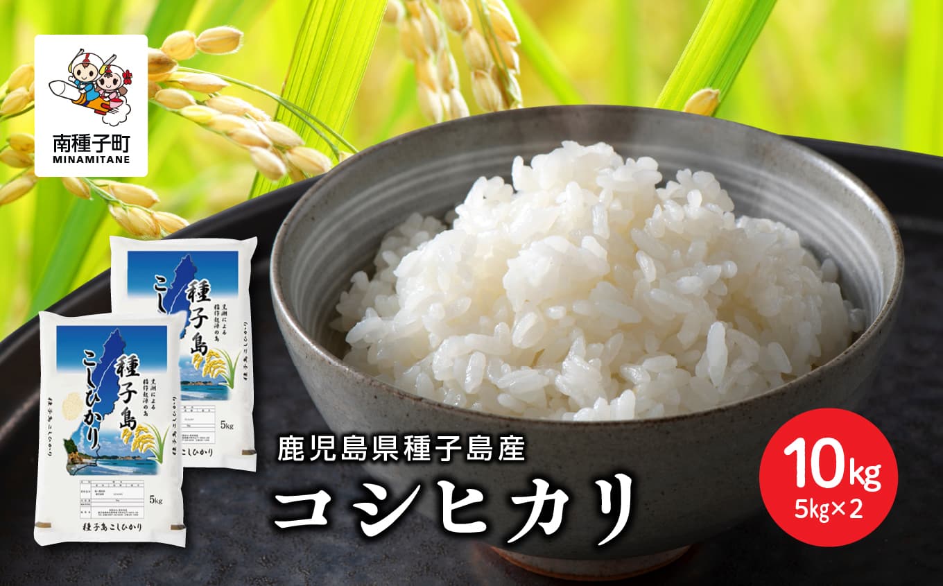 【先行予約】《令和8年産米 新米》【8月上旬より順次発送予定】 種子島産コシヒカリ10kg(5kg×2) 【新栄物産】