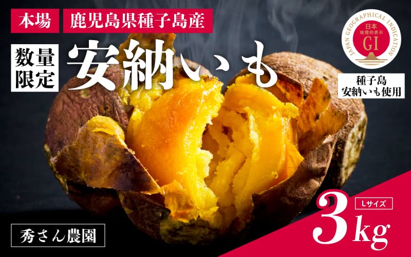 【先行予約】種子島 安納いも 3kg(Lサイズ:300g~400g)(秀さん農園)さつまいも 本場 安納芋 安納紅 安納こがね さつま芋 甘い ねっとり スイーツ おやつ グルメ お取り寄せ 人気 種子島産 返礼品 南種子町 鹿児島【南種子町観光物産館 トンミー市場】