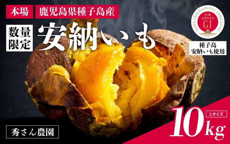 【先行予約】種子島 安納いも 10kg(Lサイズ:300g~400g)(秀さん農園)さつまいも 本場 安納芋 安納紅 安納こがね さつま芋 甘い ねっとり スイーツ おやつ グルメ お取り寄せ 人気 種子島産 返礼品 南種子町 鹿児島【南種子町観光物産館 トンミー市場】