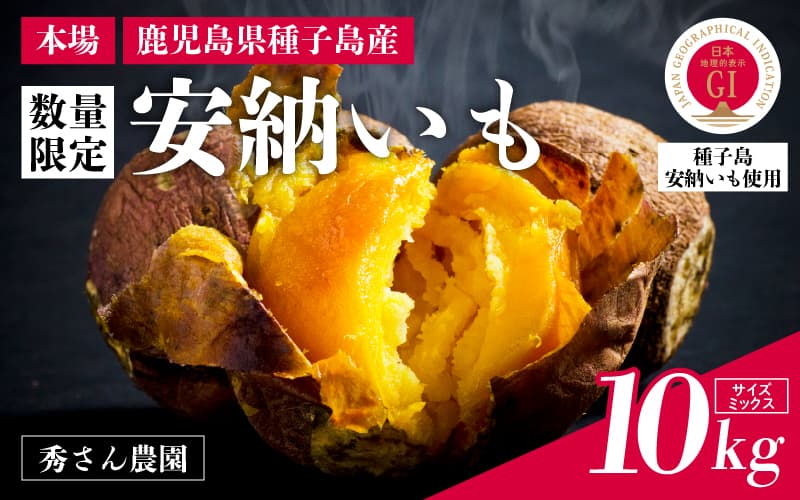【先行予約】種子島 安納いも 10kg(S~Lサイズ:100g~400g)(秀さん農園)さつまいも 本場 安納芋 安納紅 安納こがね さつま芋 甘い ねっとり スイーツ おやつ グルメ お取り寄せ 人気 種子島産 返礼品 南種子町 鹿児島【南種子町観光物産館 トンミー市場】