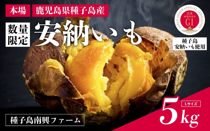 【先行予約】種子島 安納いも 5kg(Lサイズ:300g~400g)(南興ファーム)さつまいも 本場 安納芋 安納紅 安納こがね さつま芋 甘い ねっとり スイーツ おやつ グルメ お取り寄せ 人気 種子島産 返礼品 南種子町 鹿児島【南種子町観光物産館 トンミー市場】