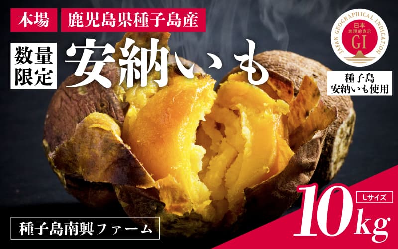 【先行予約】種子島 安納いも 10kg(Lサイズ:300g~400g)(南興ファーム)さつまいも 本場 安納芋 安納紅 安納こがね さつま芋 甘い ねっとり スイーツ おやつ グルメ お取り寄せ 人気 種子島産 返礼品 南種子町 鹿児島【南種子町観光物産館 トンミー市場】