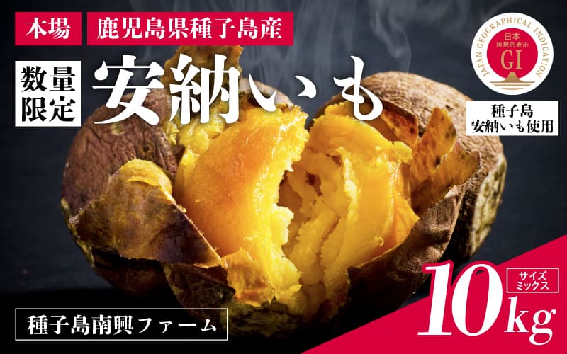 【先行予約】種子島 安納いも 10kg(S~Lサイズ:100g~400g)(南興ファーム)さつまいも 本場 安納芋 安納紅 安納こがね さつま芋 甘い ねっとり スイーツ おやつ グルメ お取り寄せ 人気 種子島産 返礼品 南種子町 鹿児島【南種子町観光物産館 トンミー市場】