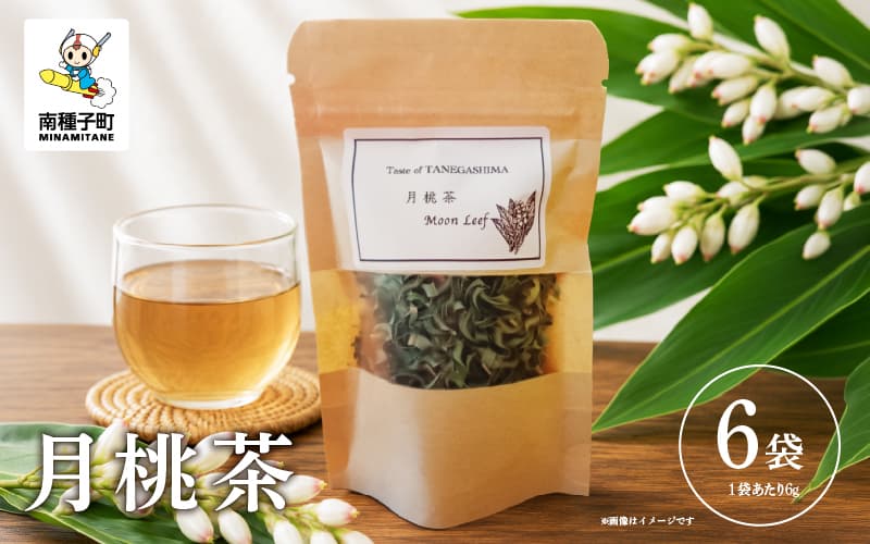 Moon Leaf 月桃茶 6袋(6g×6袋) 茶葉 ハーブティー カフェインレス 【Full Moon & Co.】