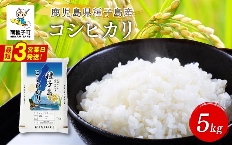 《令和8年産米 新米》 種子島産コシヒカリ5kg 【新栄物産】