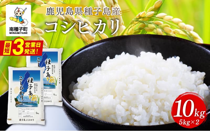 《令和8年産米 新米》種子島産コシヒカリ10kg(5kg×2) 【新栄物産】