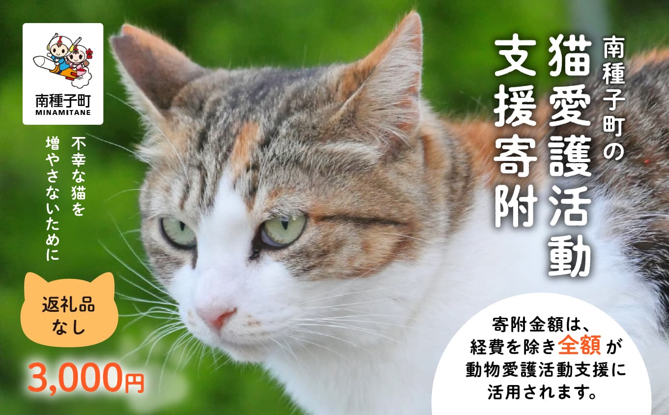 《返礼品なし》 猫愛護活動支援 3,000円 猫ちゃん 猫 ねこ 動物 保護 愛護 保護活動 応援 支援 寄付 南種子町 鹿児島 かごしま