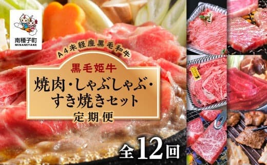 【定期便】焼肉・しゃぶしゃぶ・すき焼きセット(全12回)