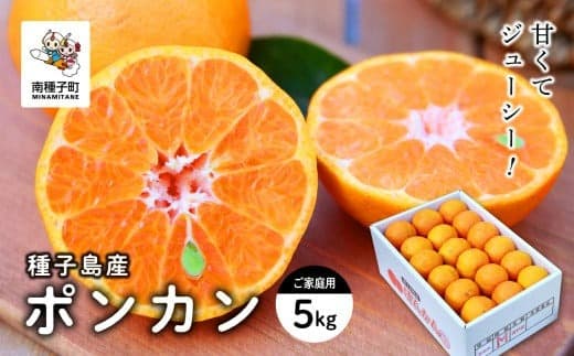 《先行予約》 《2026年12月中旬頃?1月中旬頃順次発送》種子島産ポンカン(ご家庭用) 5kg(24玉~36玉)
