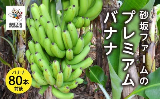 砂坂ファームのプレミアムバナナ (80本前後)