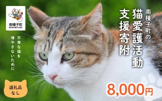 《返礼品なし》 猫愛護活動支援 8,000円 猫ちゃん 猫 ねこ 動物 保護 愛護 保護活動 応援 支援 寄付 南種子町 鹿児島 かごしま