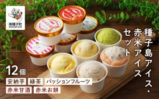 種子島アイス・赤米アイスセット12個
【乳化剤・安定剤不使用】