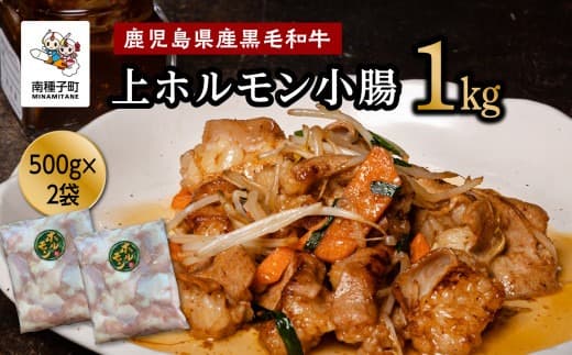 鹿児島県産黒毛和牛 上ホルモン小腸1kg(500g×2袋)