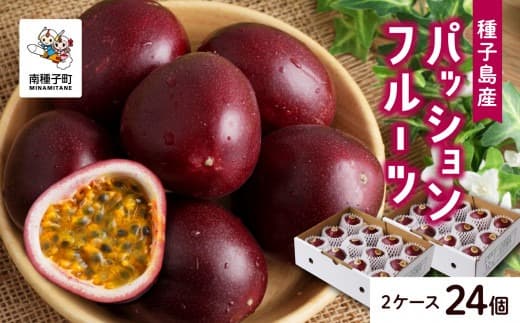 【先行予約】《令和8年度》 種子島産パッションフルーツ 2ケース ( 24個入り ) パッションフルーツ 果物 フルーツ 食品 グルメ お取り寄せ お中元 人気 おすすめ 返礼品 南種子町 鹿児島 かごしま 【有限会社新栄物産】