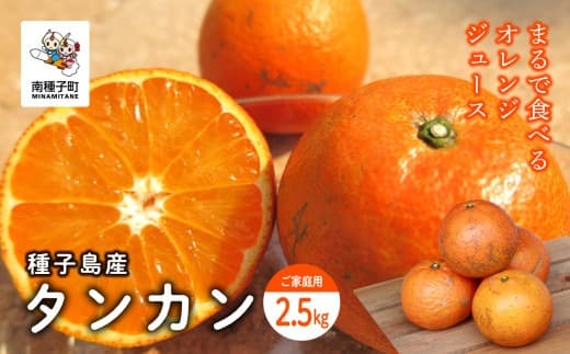 《 先行予約 》【2027年2月中旬 3月中旬頃順次発送】種子島産タンカン(ご家庭用)約2.5kg(12~18玉)