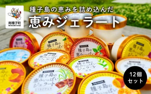 恵みジェラート12個セット